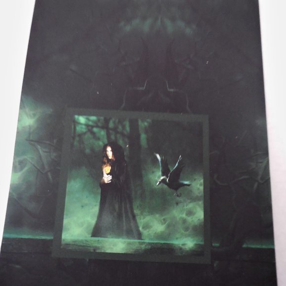 Self-Help Workbook Blacklist Journal Relationship Evoluation NEW - Picture 10 of 10